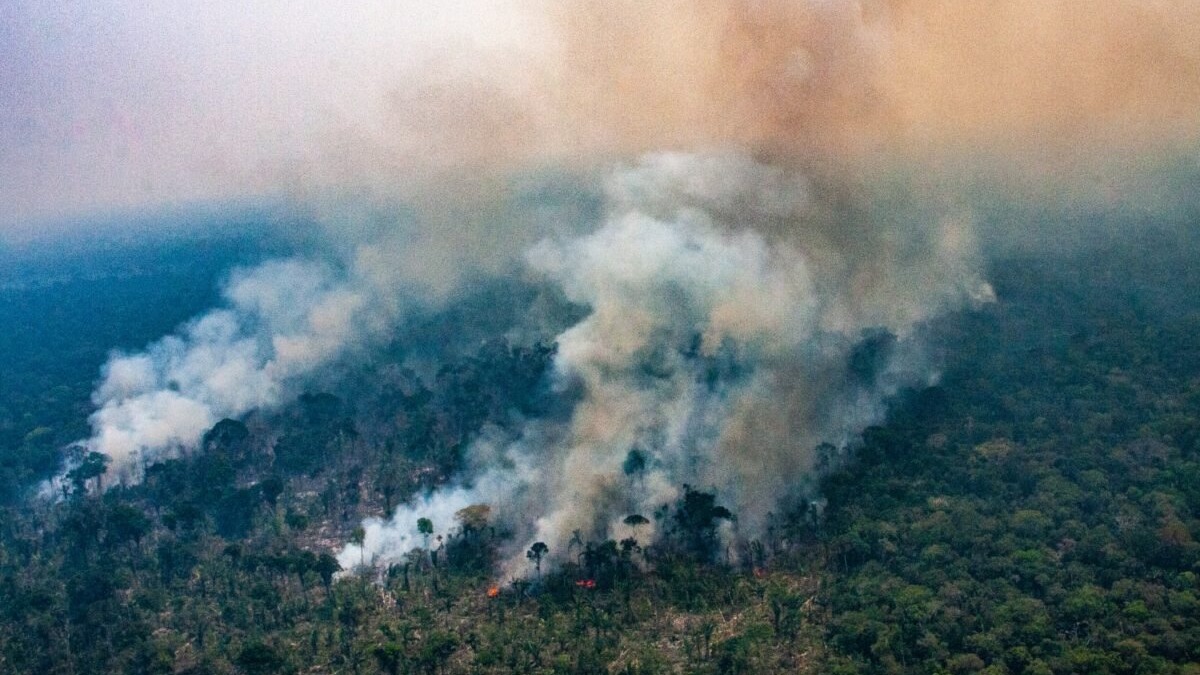  Boa notícia na Amazônia: Focos de calor e desmatamento diminuem em março, mas alerta continua ligado