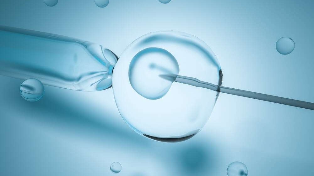 Sonho da Maternidade: Justiça Libera FGTS para Fertilização In Vitro