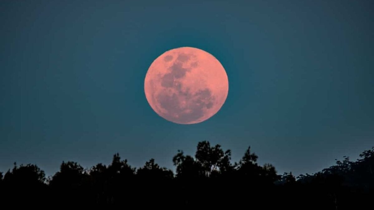 Lua Rosa: Um Elo Romântico Através do Céu Brasileiro