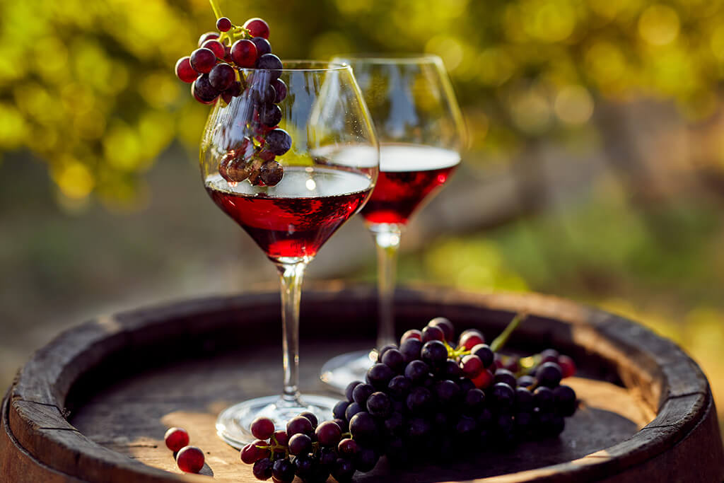 Brasil no Topo da Taça! Conheça os Melhores Vinhos Nacionais Eleitos por Especialistas em Teste Cego!