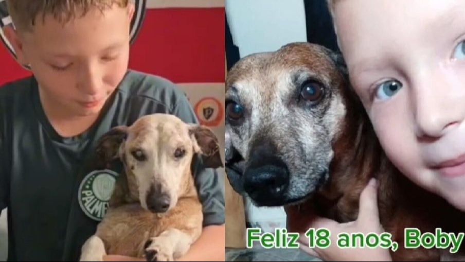 &quot;Laços que o Tempo Não Desfaz: Menino de 12 Anos Derrete a Web com Celebração Tocante ao Cão &#039;Quase Centenário&#039;!