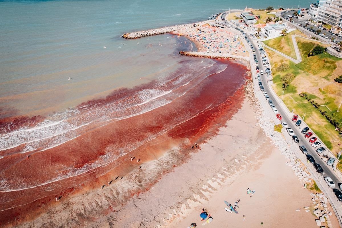 Mar de Sangue no Brasil: Fenômeno Estranho Assusta e Alimenta Teorias de Apocalipse. Entenda:
