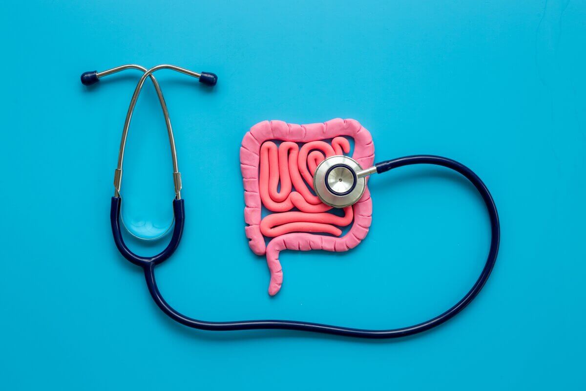Vegetais crucíferos: a chave para reduzir em 20% o risco de câncer de intestino